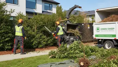 Crew removing overgrown shrubs in compact Boston MA yard for Chop Chop Tree shrub removal service
